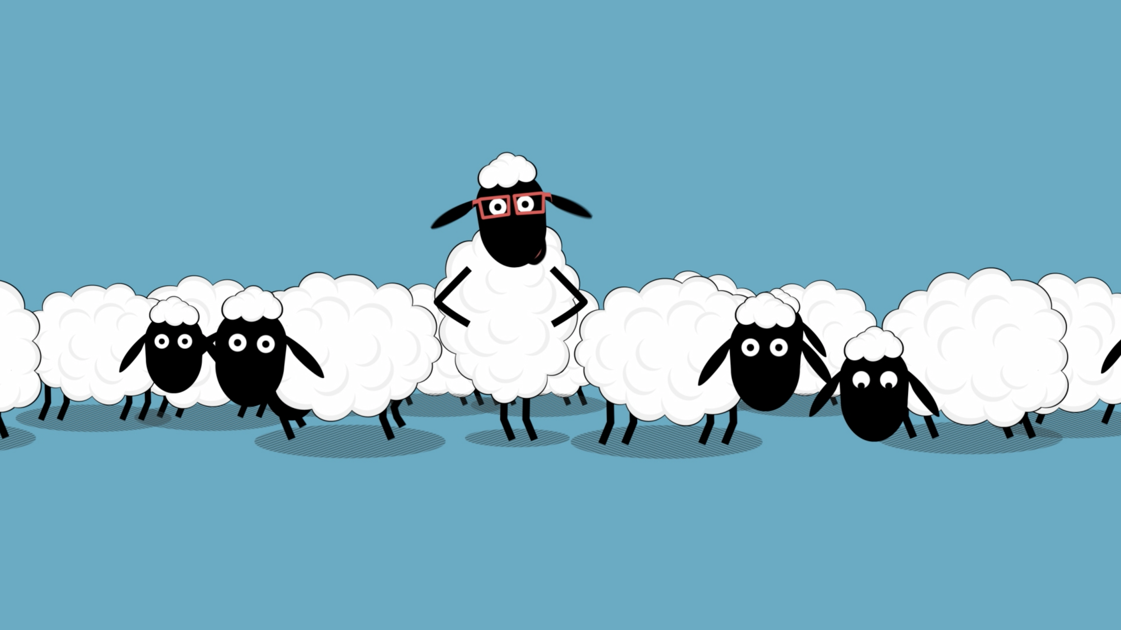 VDO : "Les opticiens ne sont pas des moutons"